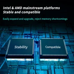Lexar RAM Memory DDR5 16gb UDIMM Desktop Computer Memory PC RAMs 4800MHZ ECC Memoria RAM DDR5 for Motherboard Intel AMD 5