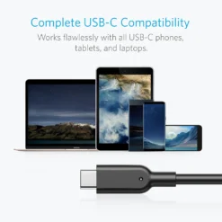 Anker Powerline II USB-C to USB 3.1 Gen2 Cable(3ft) USB-IF Certified for Samsung iPad Pro2018 MacBook Sony LG HTC10 Xiaomi5etc 3