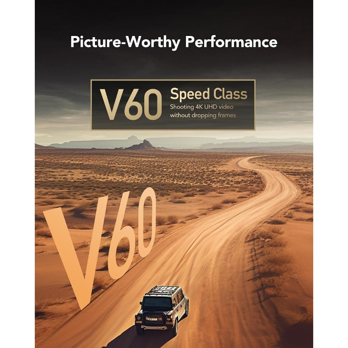 lexar gold 256gb microsd v60